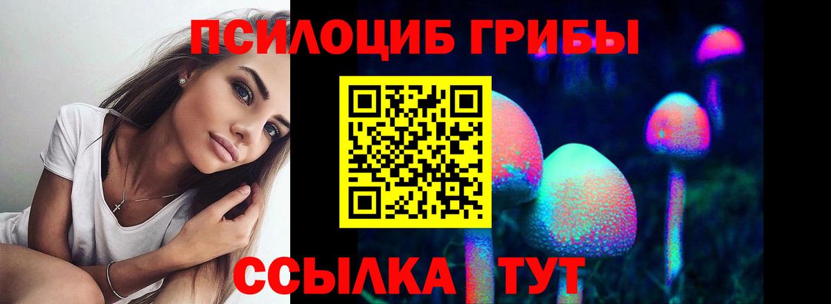 Тихорецк  Галлюциногенные грибы Psilocybe  Вход с VPN  Псилоцибиновые грибы Cubensis 
